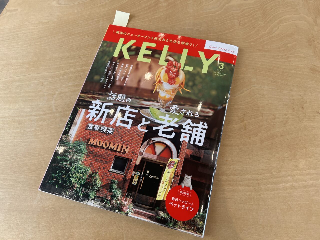 日刊KELLY掲載