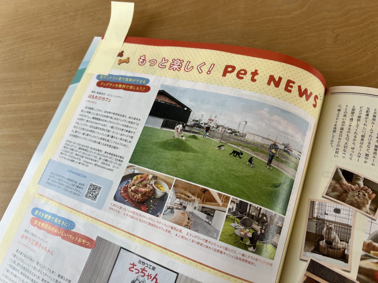 はもれびカフェ日刊KELLY掲載